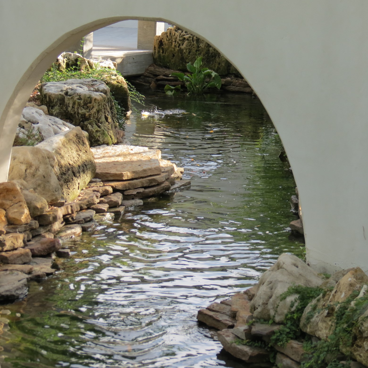 Wichita Botanical Gardens 23 of 98 (#9673)