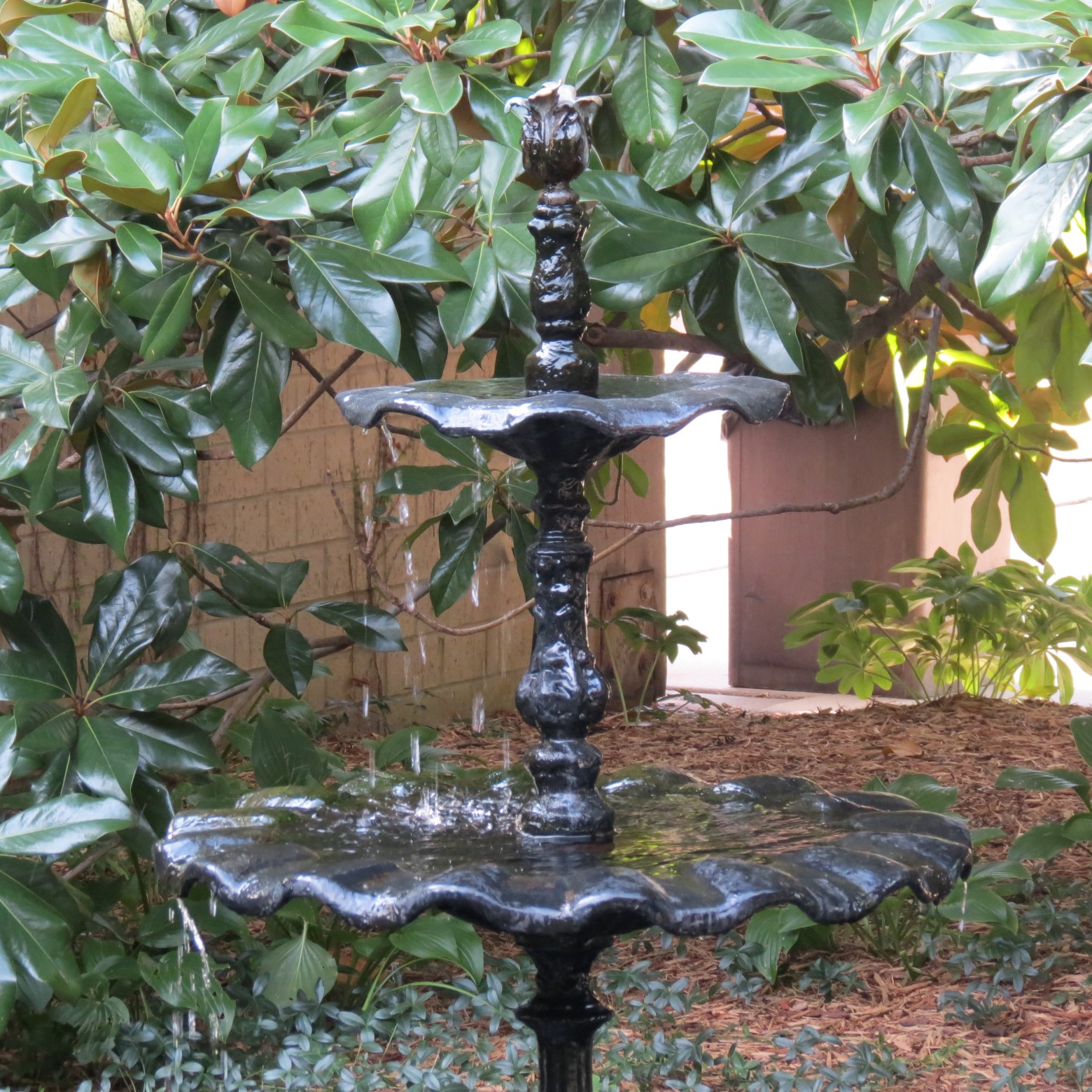 Wichita Botanical Gardens 26 of 98 (#9676)