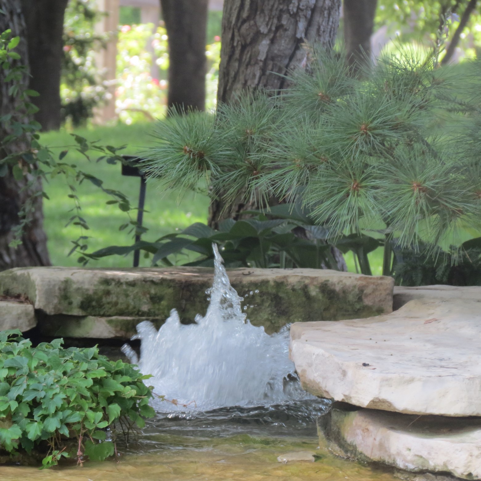 Wichita Botanical Gardens 30 of 98 (#9680)