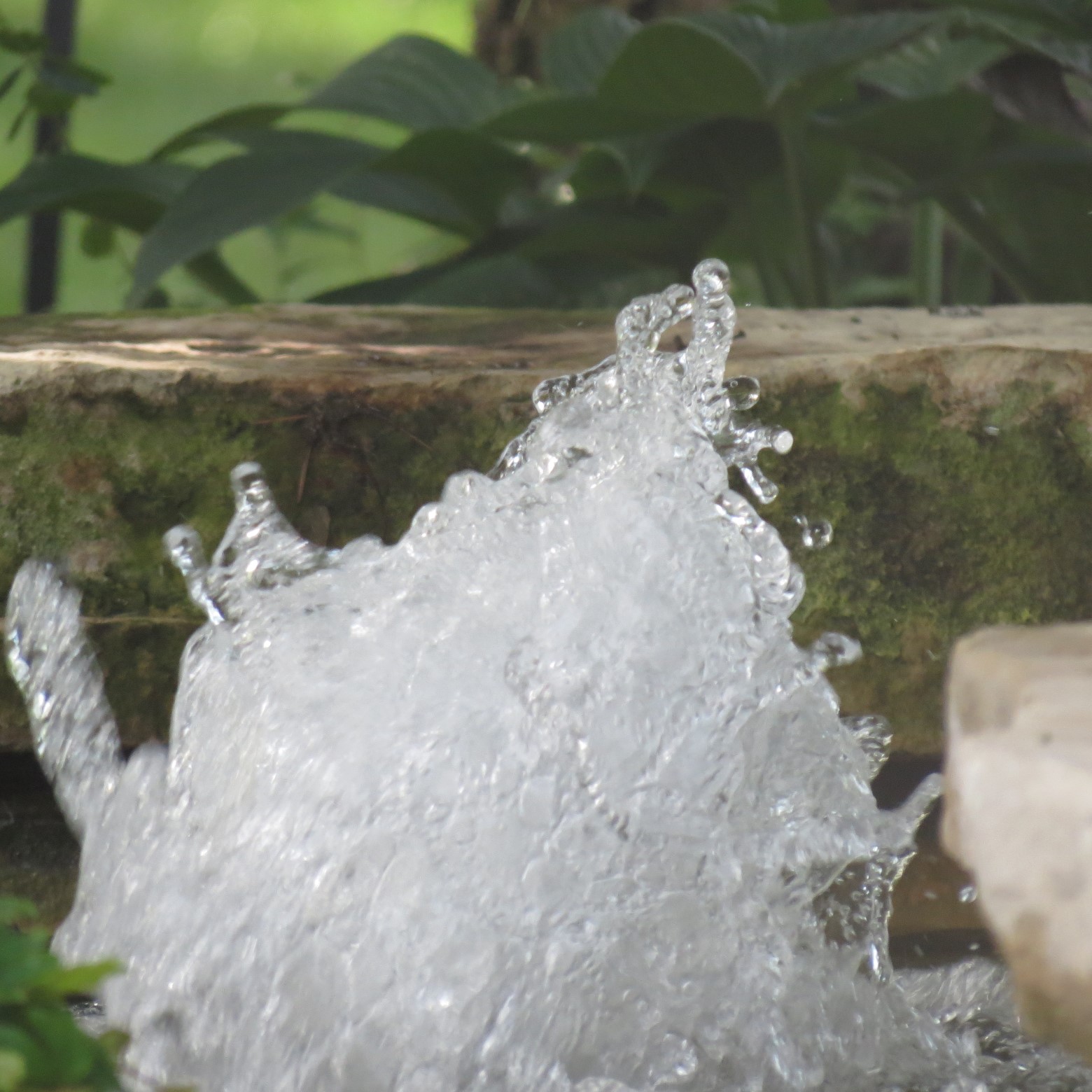 Wichita Botanical Gardens 31 of 98 (#9681)