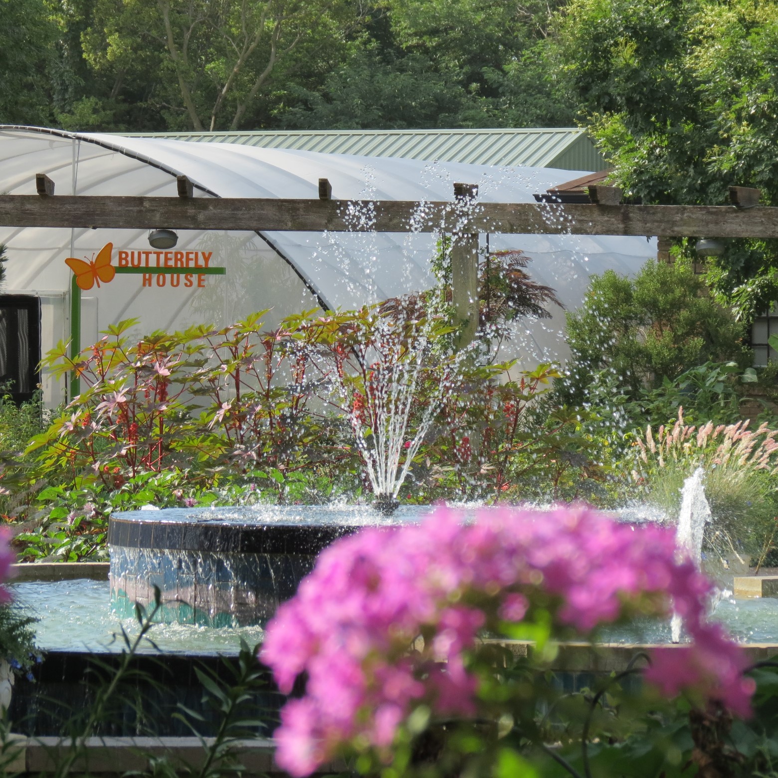 Wichita Botanical Gardens 33 of 98 (#9683)