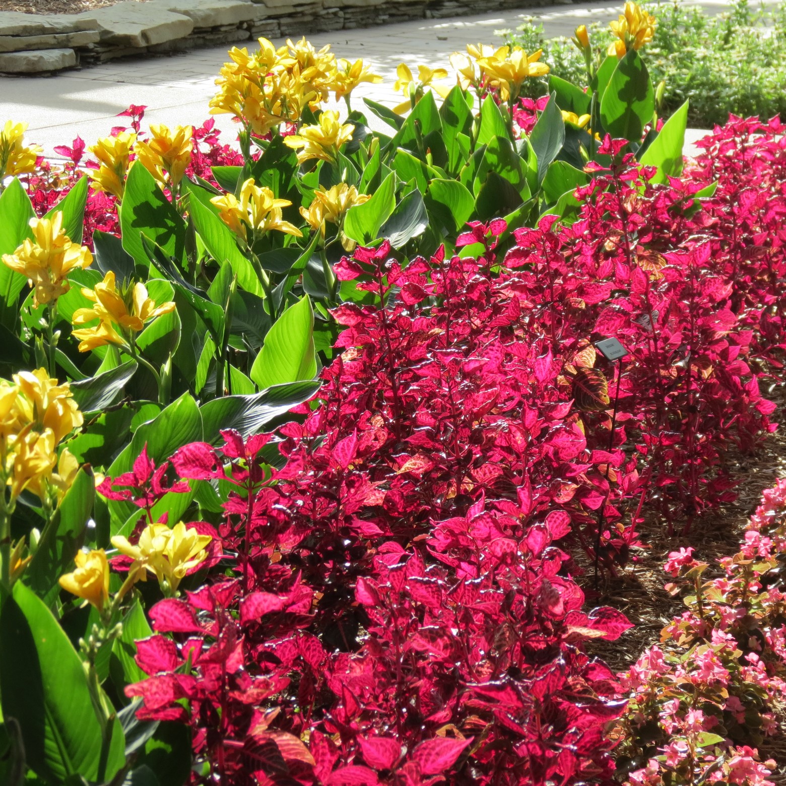 Wichita Botanical Gardens 35 of 98 (#9685)