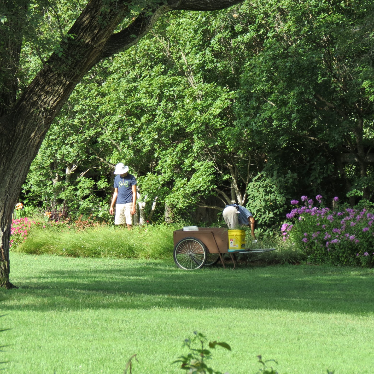 Wichita Botanical Gardens 36 of 98 (#9686)