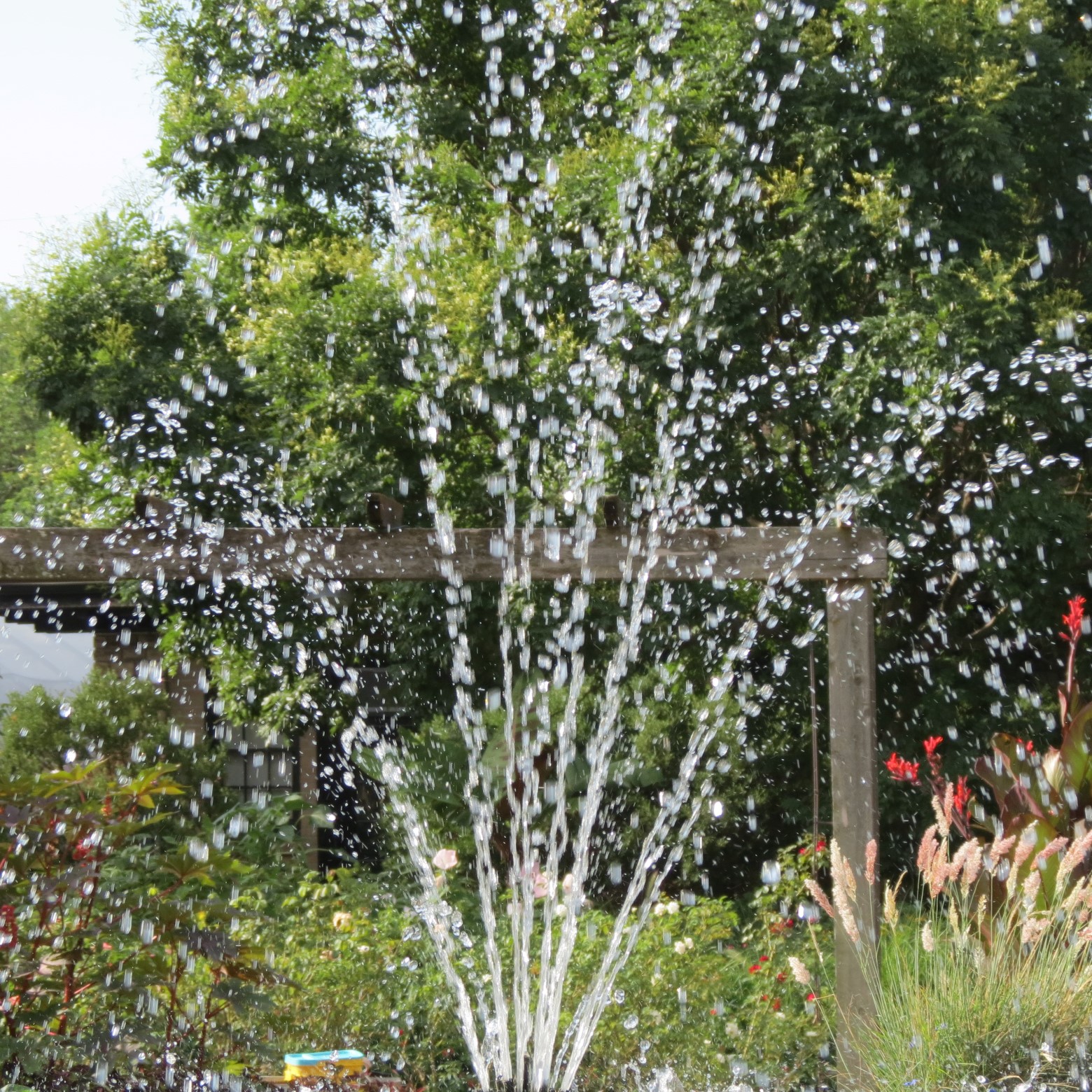 Wichita Botanical Gardens 39 of 98 (#9689)