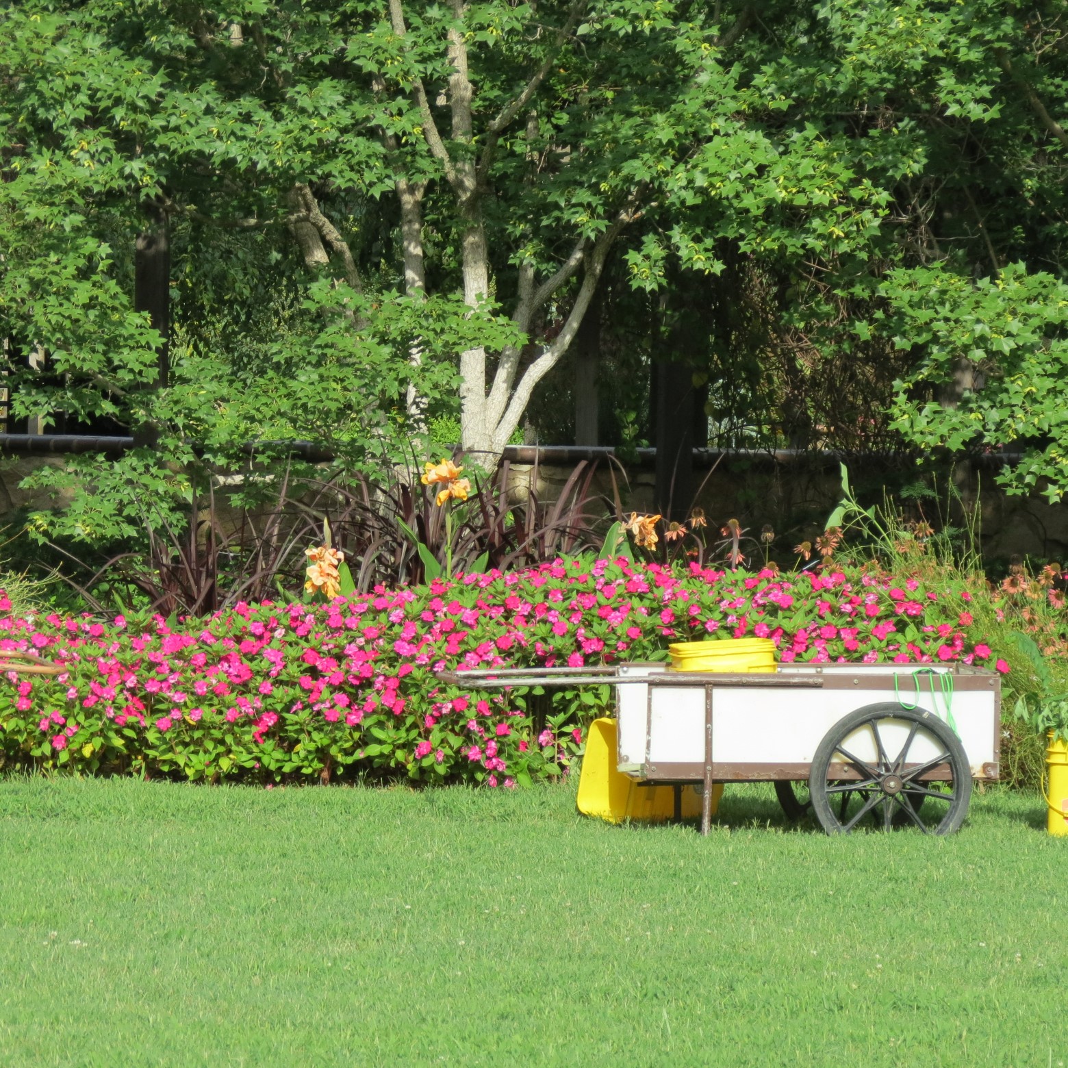 Wichita Botanical Gardens 42 of 98 (#9693)