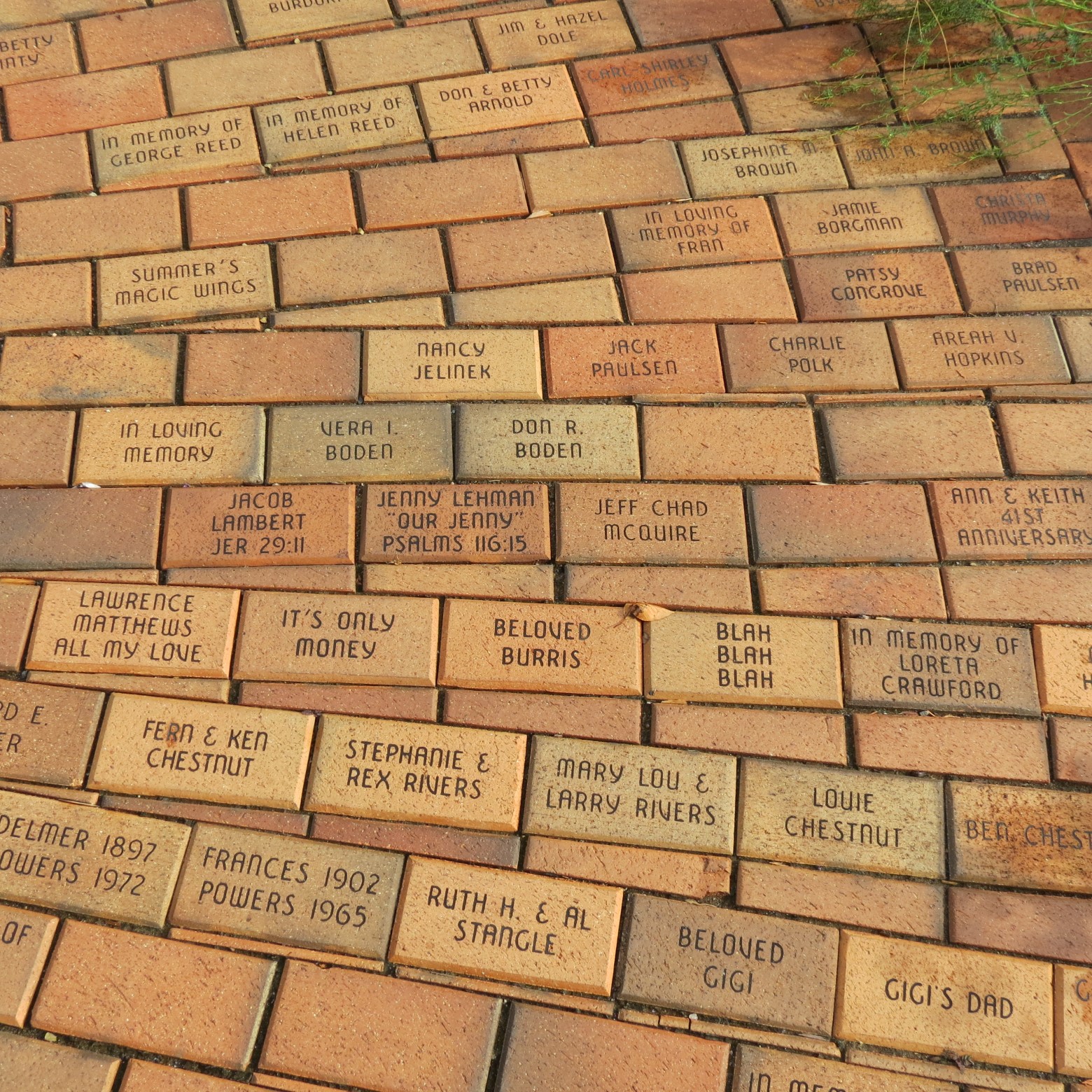 Wichita Botanical Gardens 58 of 98 (#9709)