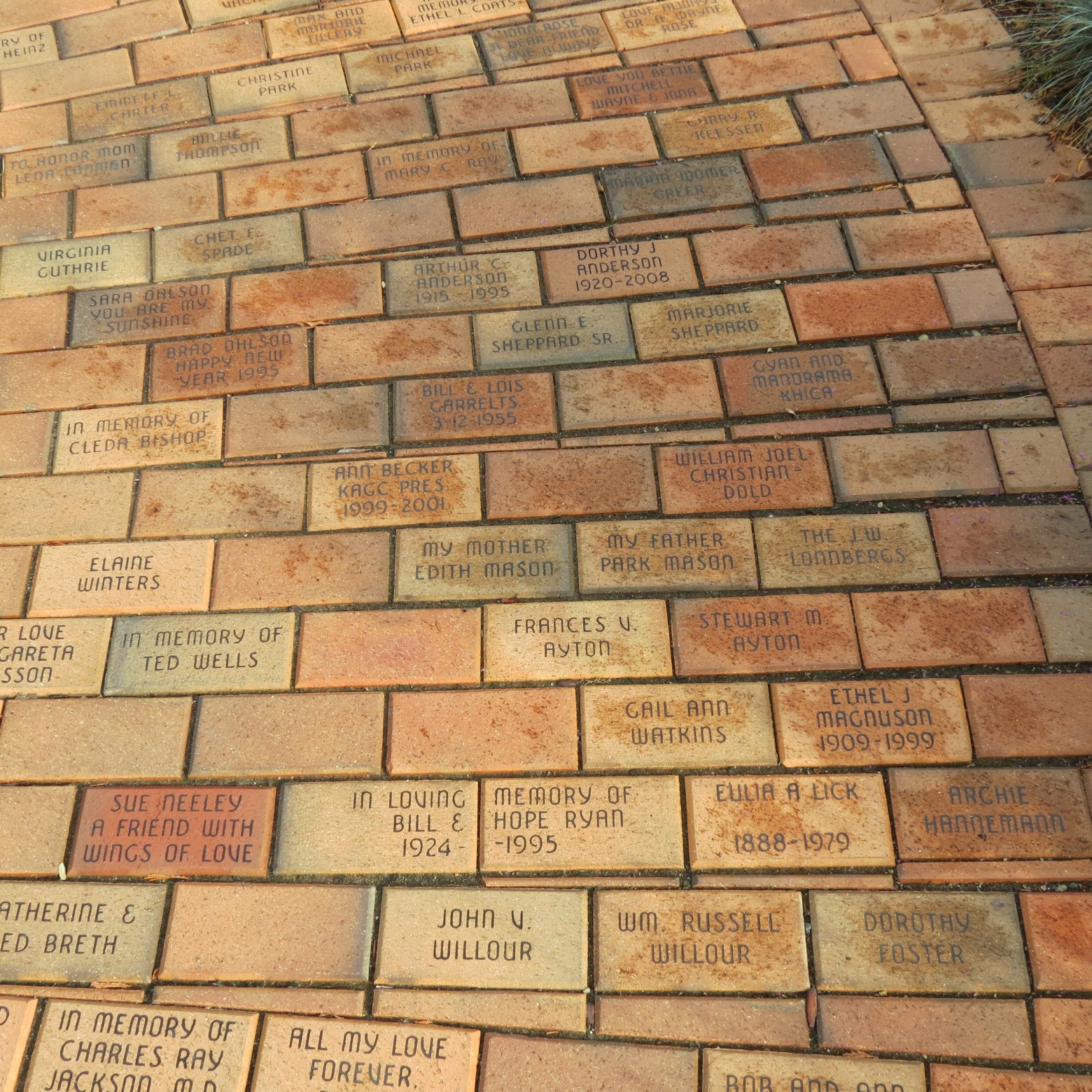 Wichita Botanical Gardens 59 of 98 (#9710)