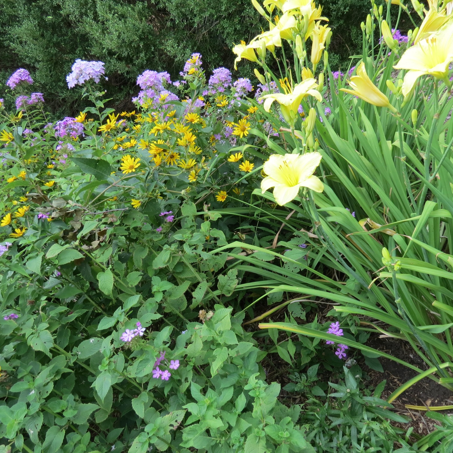Wichita Botanical Gardens 71 of 98 (#9723)