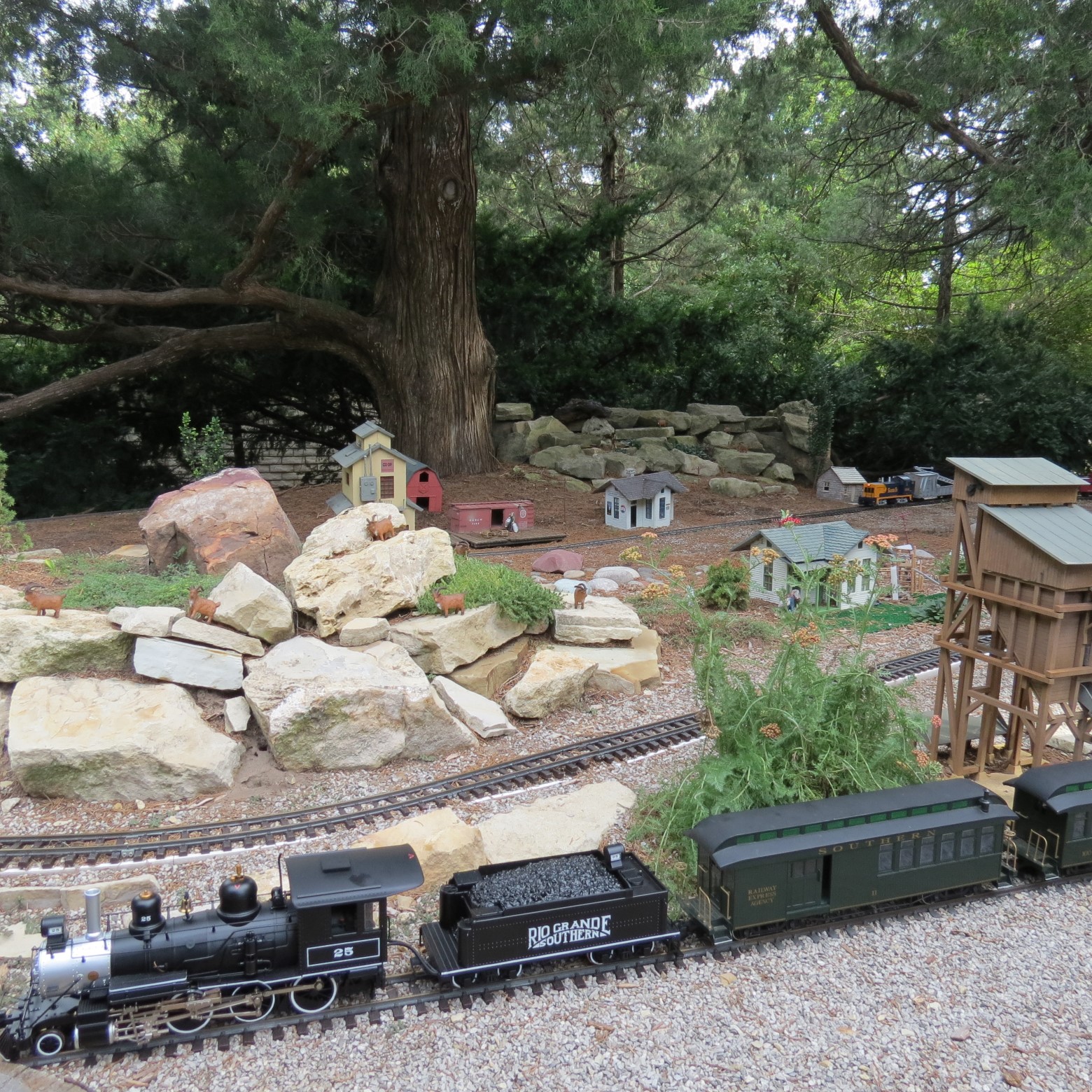 Train at Wichita Botanical Gardens  3 of 11 (#9730)