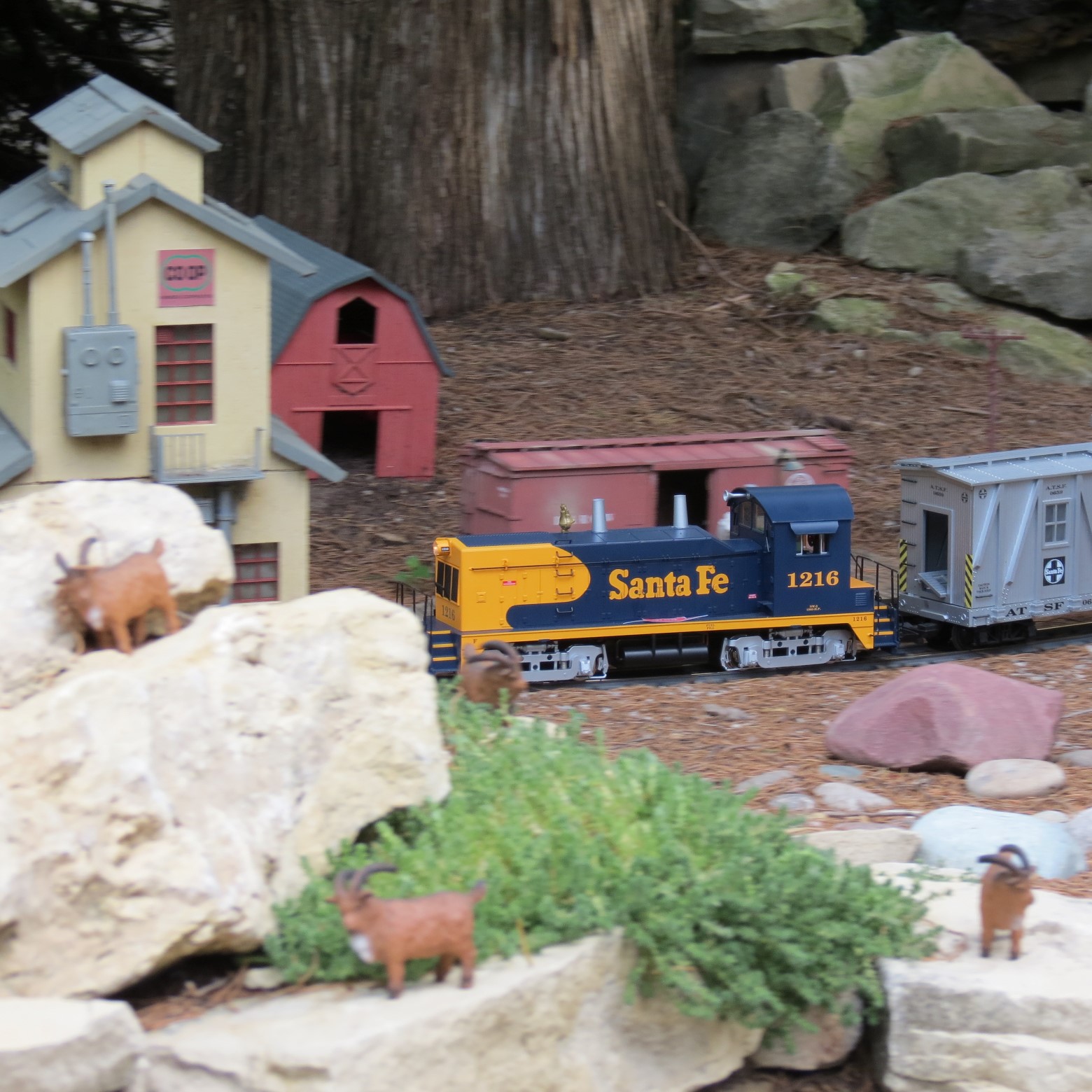 Train at Wichita Botanical Gardens  4 of 11 (#9731)