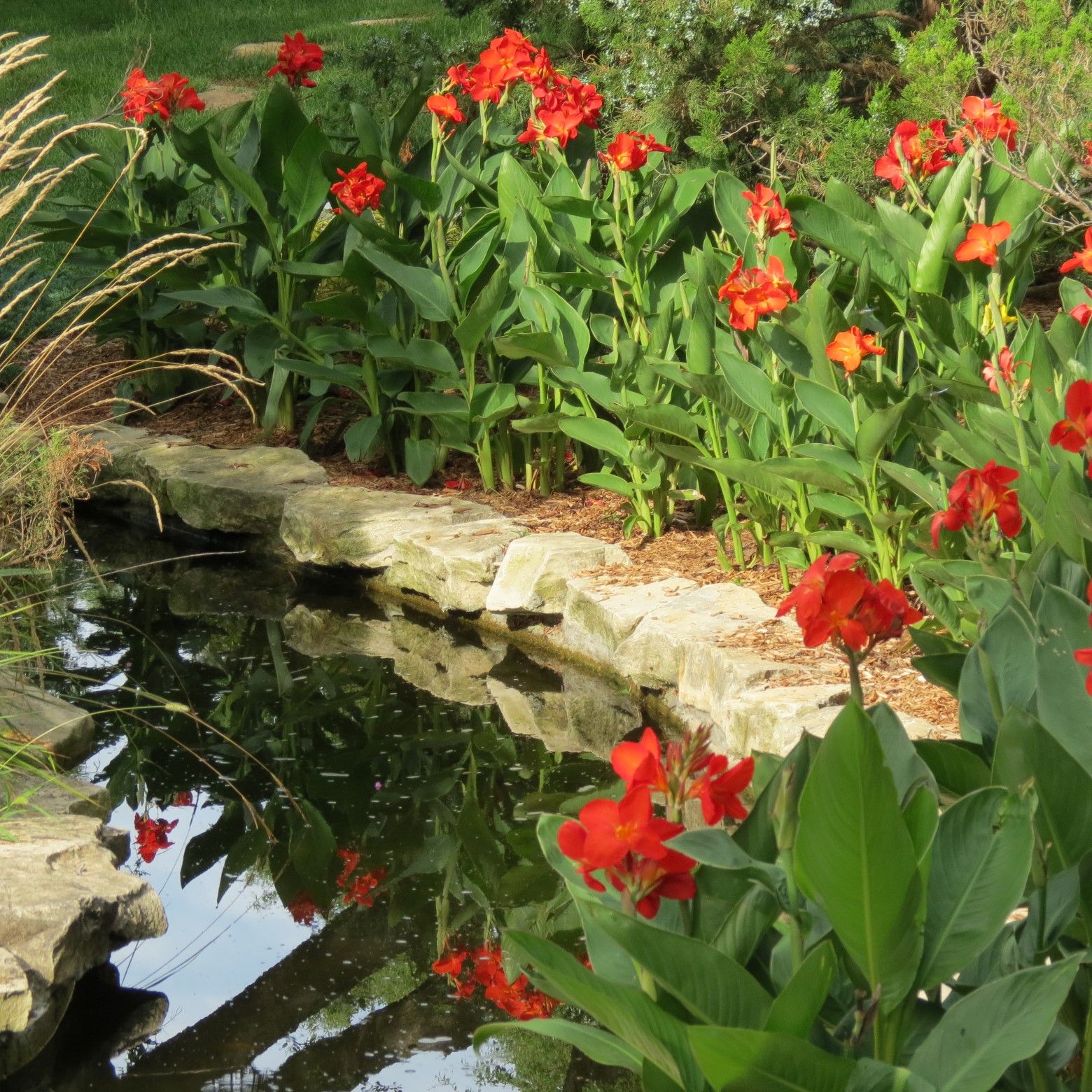 Wichita Botanical Gardens 76 of 98 (#9739)