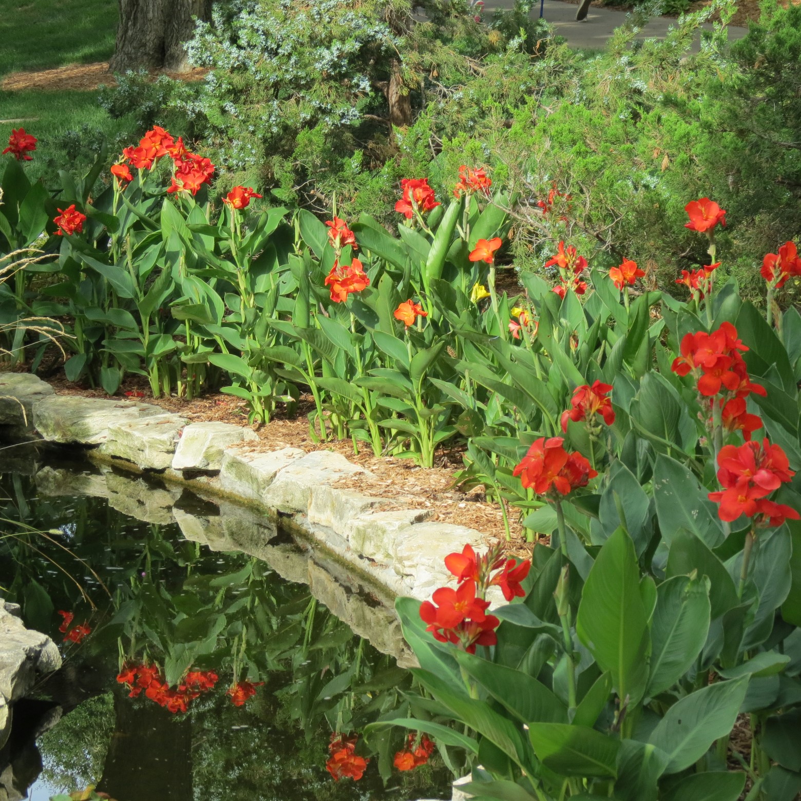 Wichita Botanical Gardens 77 of 98 (#9740)