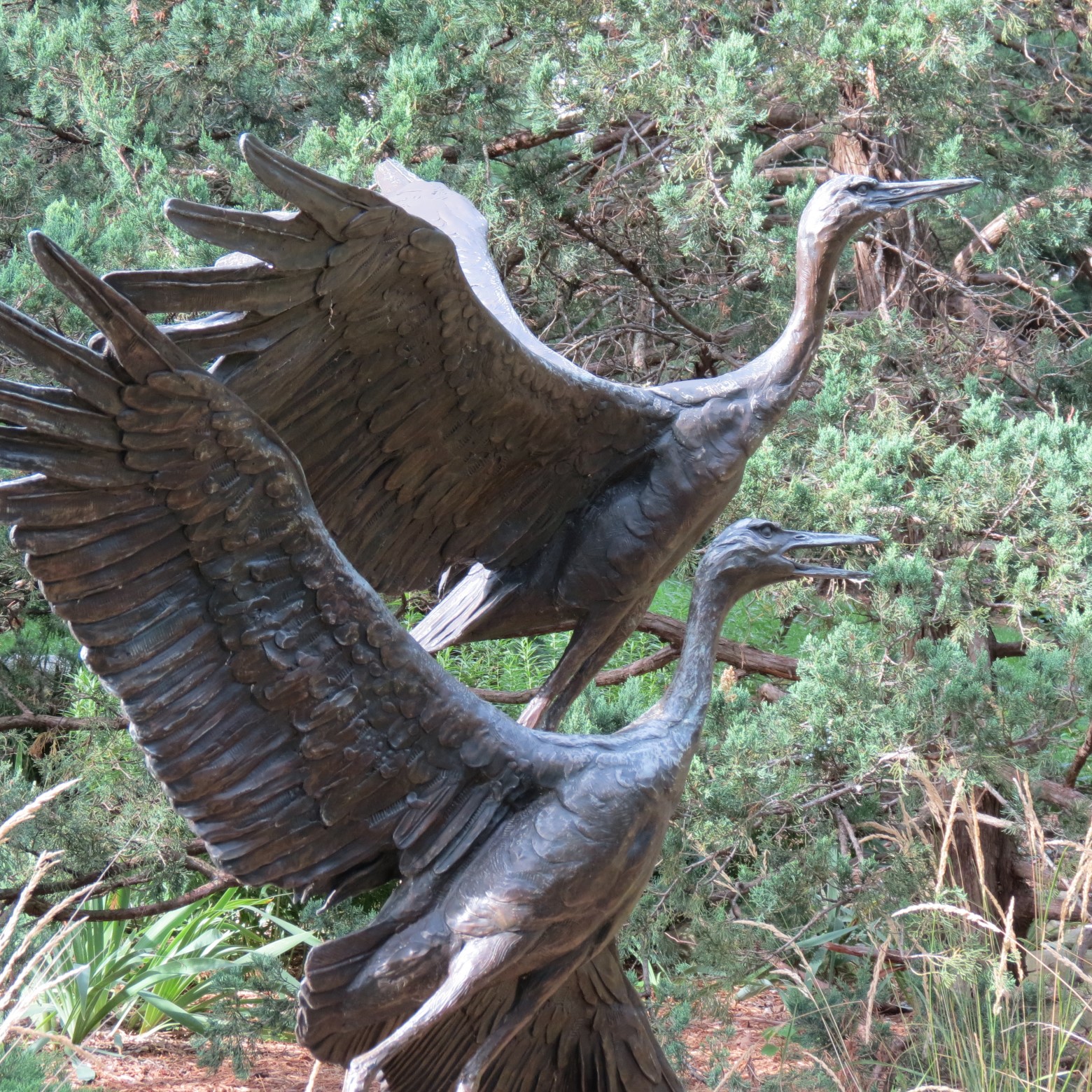 Wichita Botanical Gardens 78 of 98 (#9741)