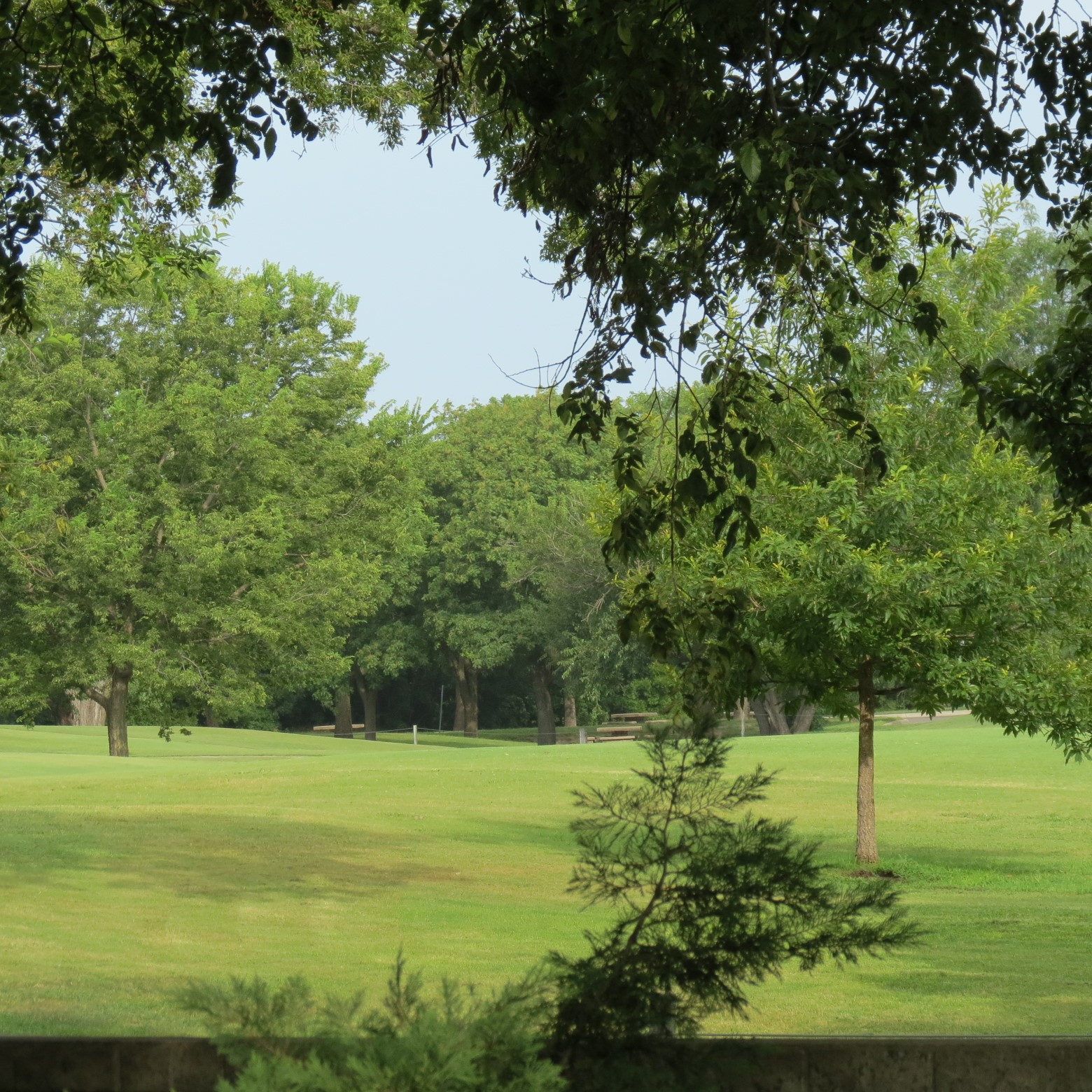 Wichita Botanical Gardens 81 of 98 (#9744)