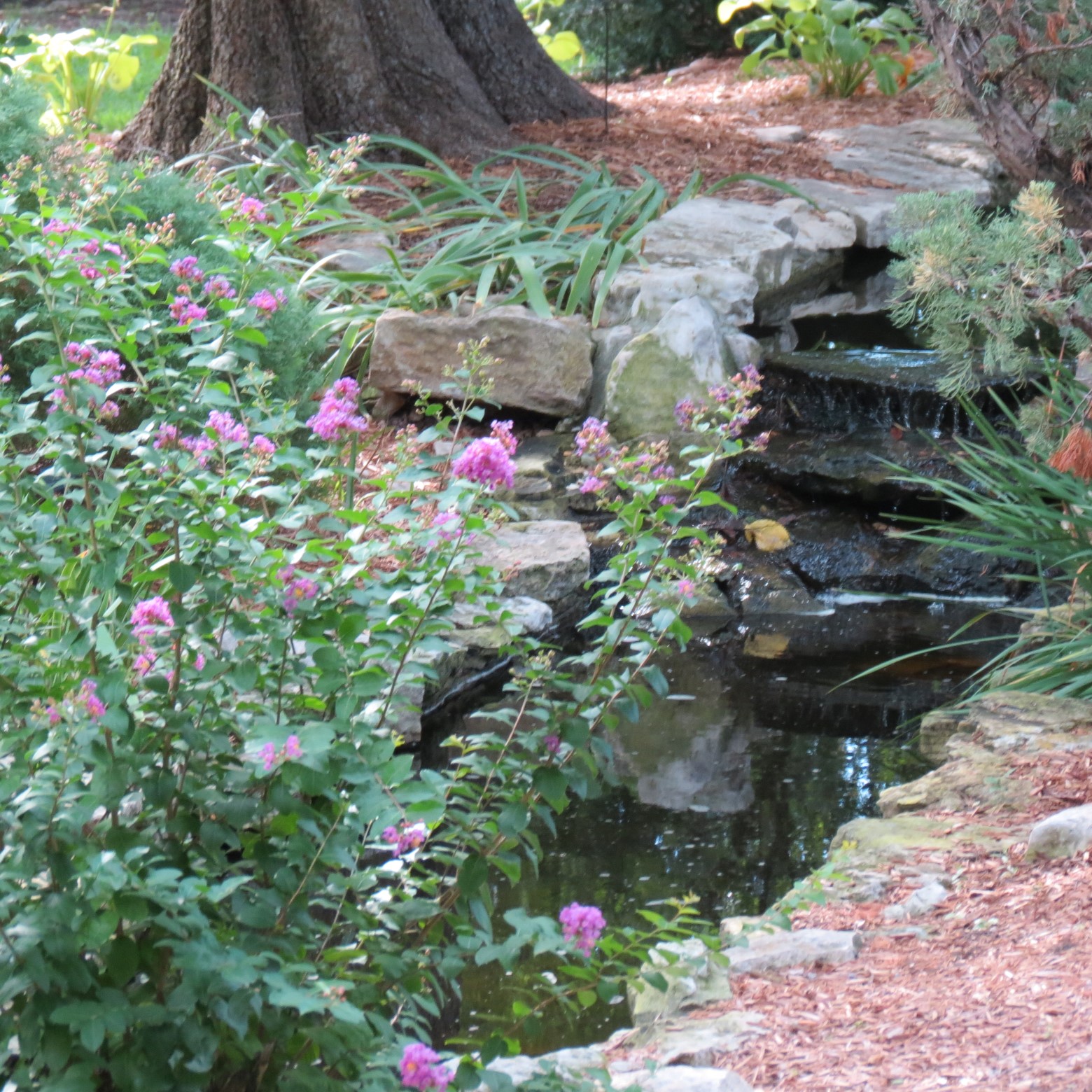 Wichita Botanical Gardens 82 of 98 (#9745)