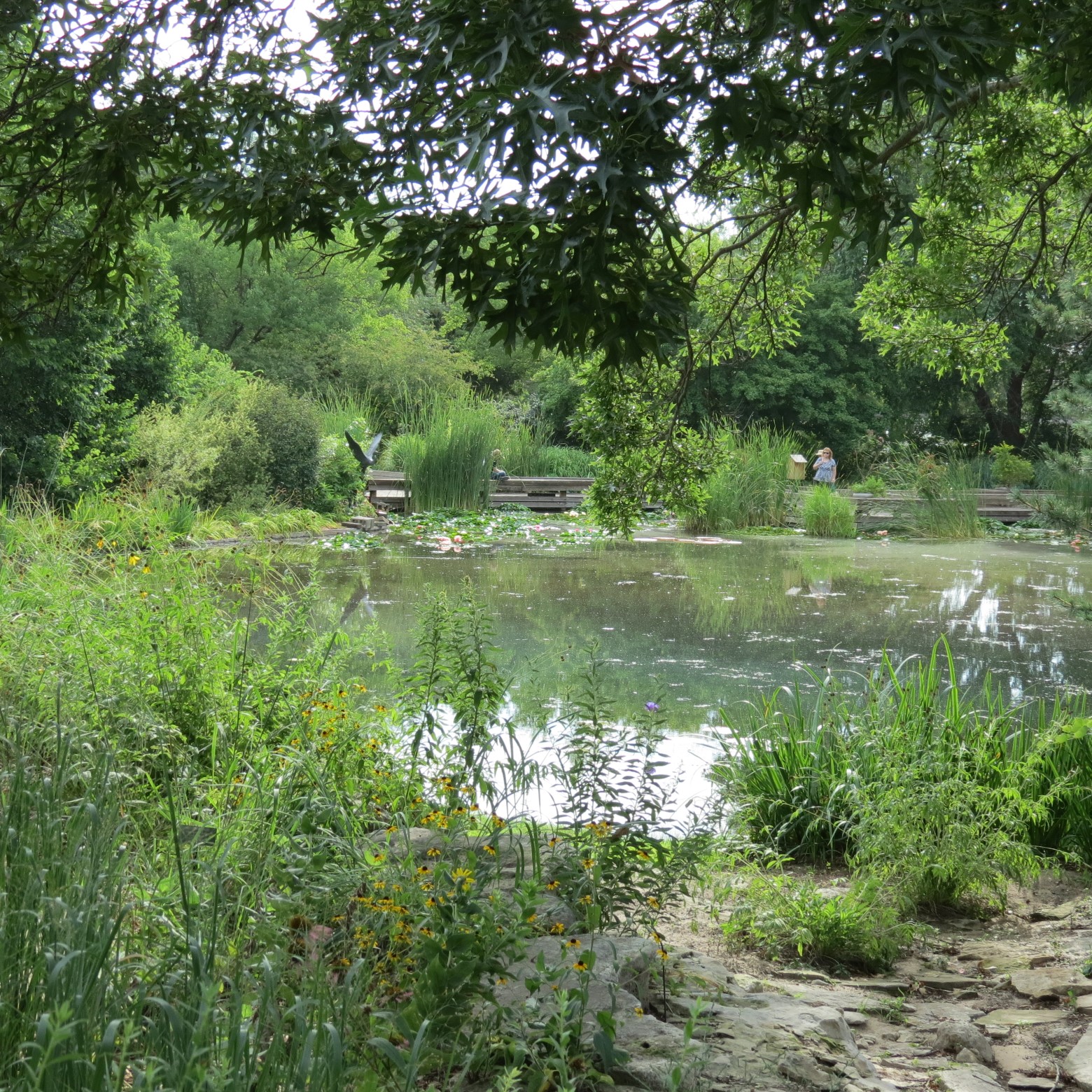 Wichita Botanical Gardens 89 of 98 (#9752)