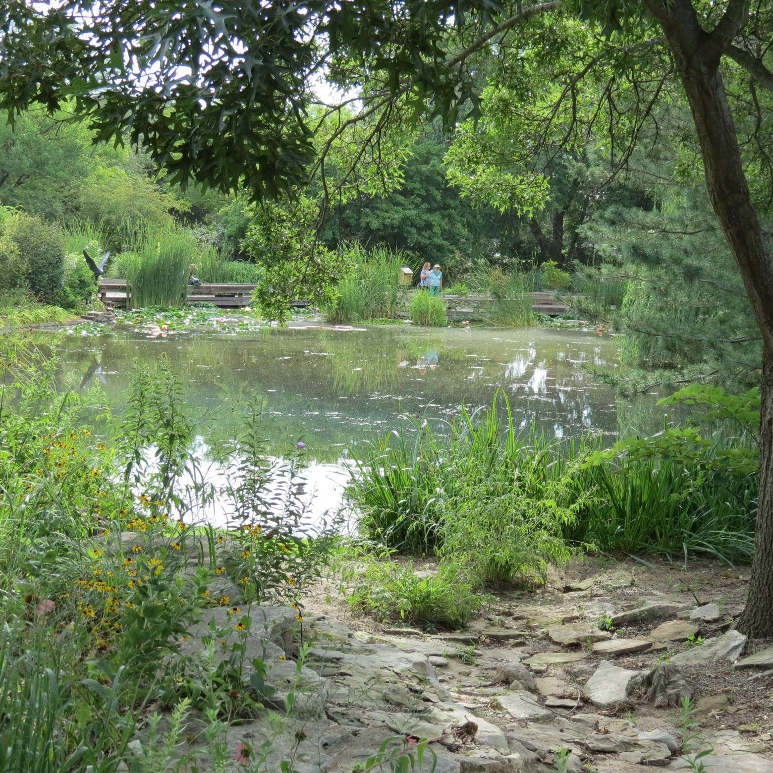 Wichita Botanical Gardens 90 of 98 (#9753)