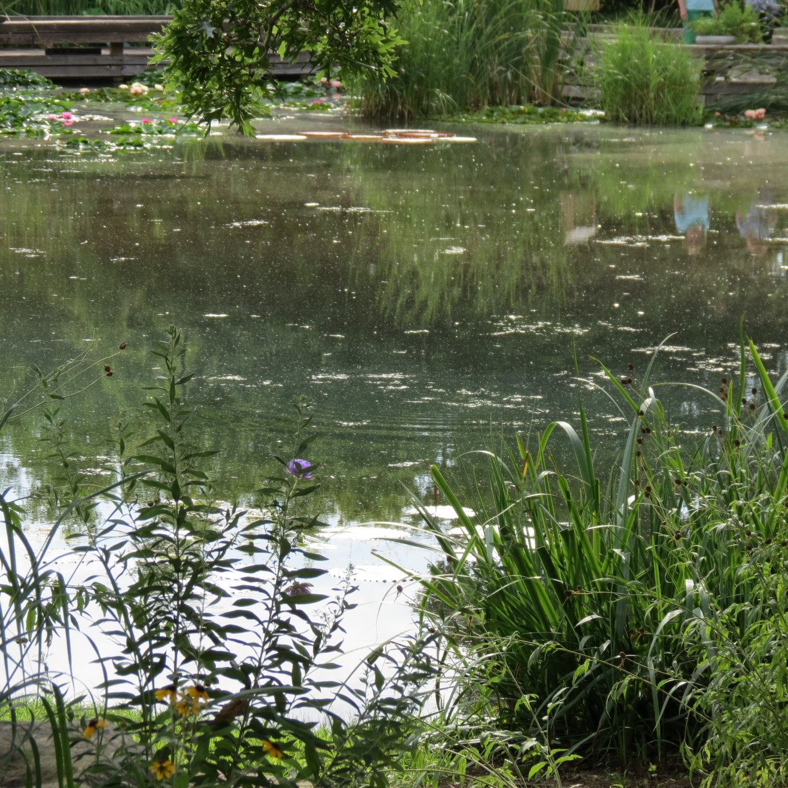 Wichita Botanical Gardens 91 of 98 (#9754)