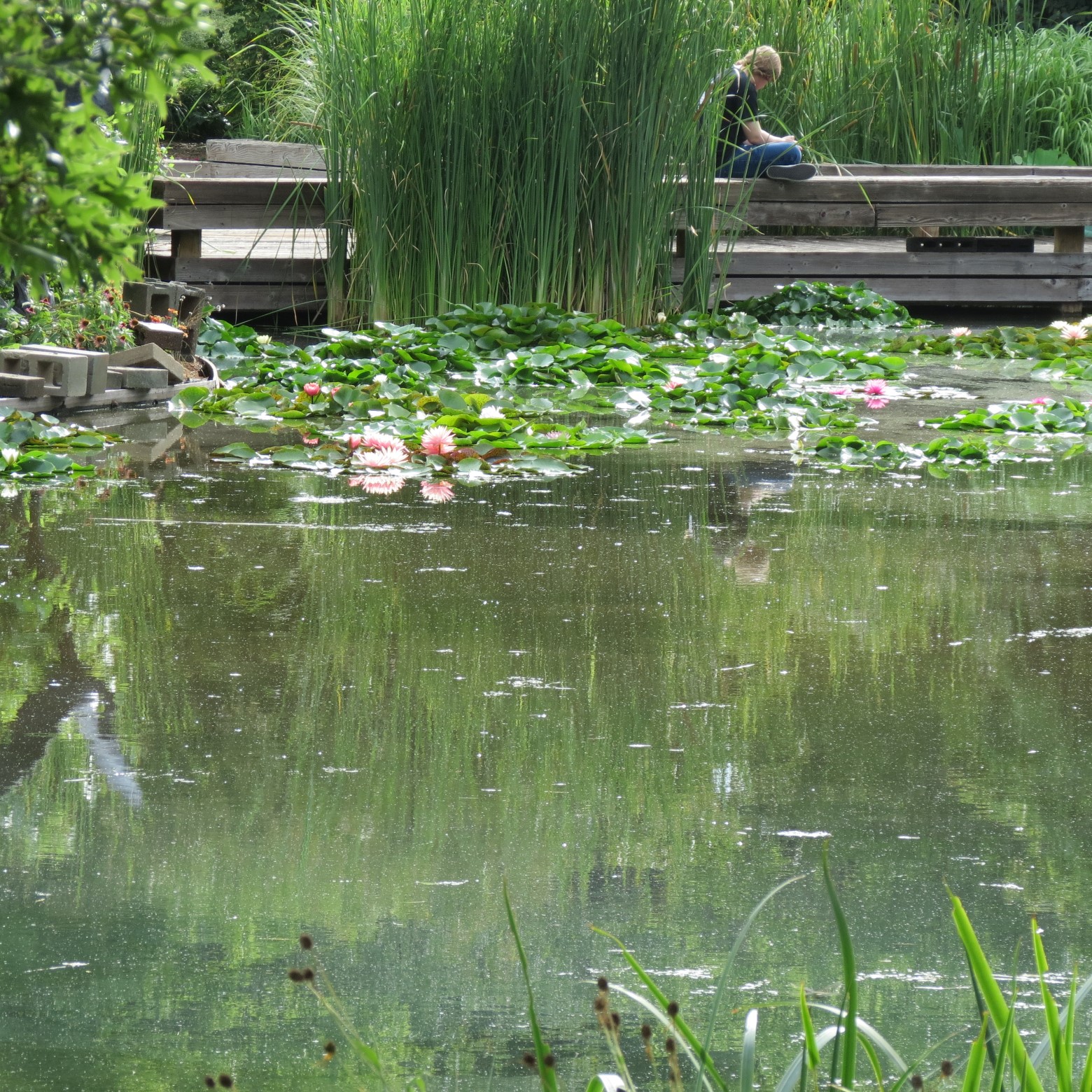 Wichita Botanical Gardens 93 of 98 (#9756)