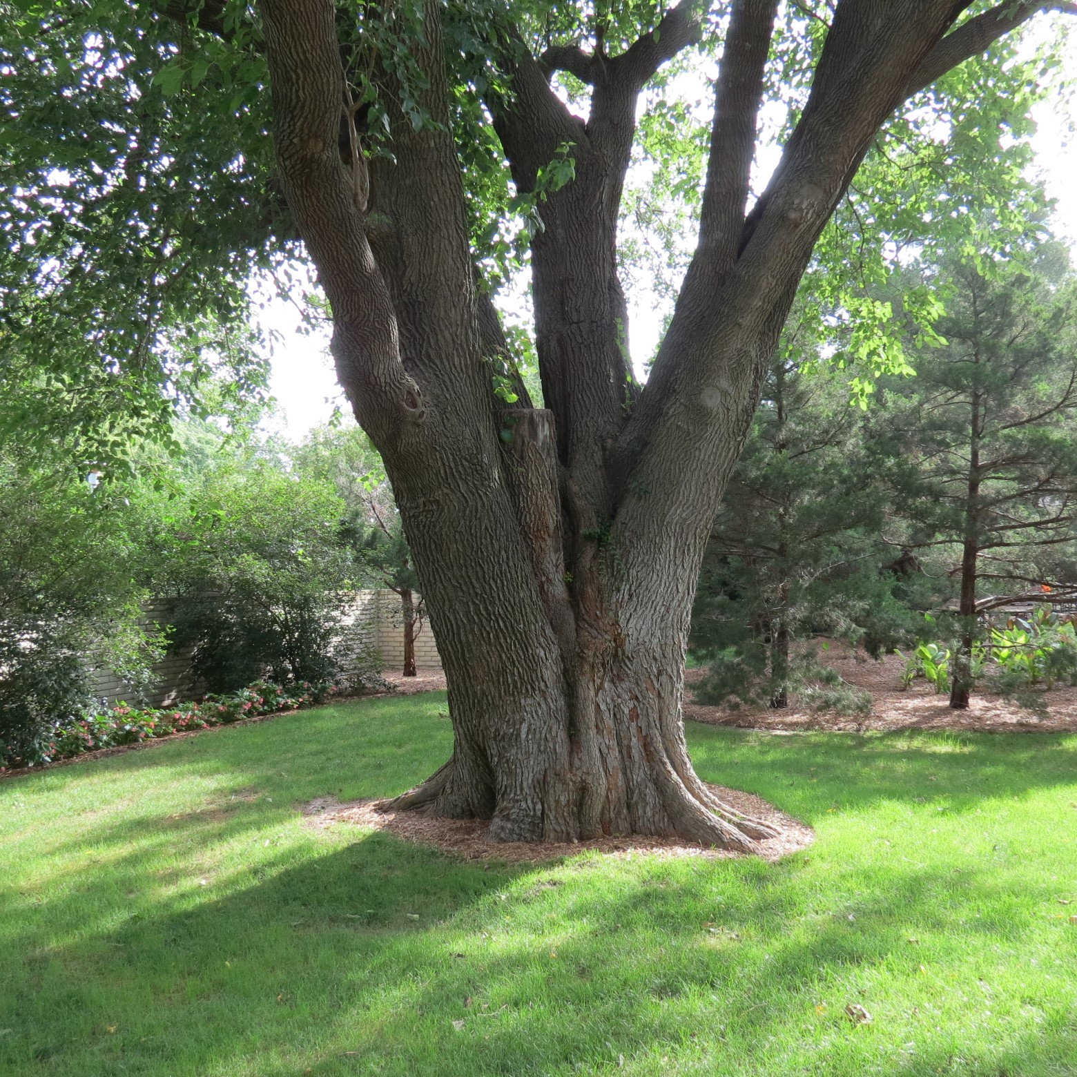 Wichita Botanical Gardens 98 of 98 (#9763)