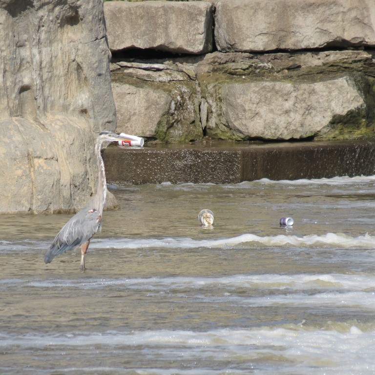 Keeper of the Plains Park in Wichita KS  9 of 11 (#9788)