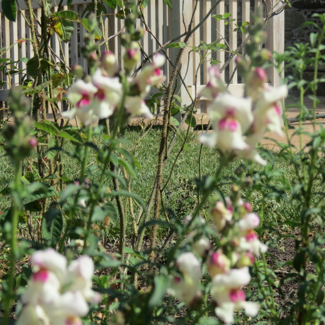 Bartram Garden and House in Philadelphia  4 of 16 (#9902)