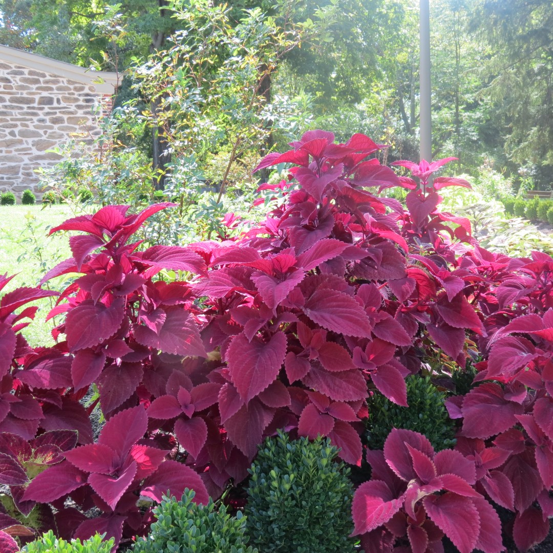 Bartram Garden and House in Philadelphia 10 of 16 (#9905)