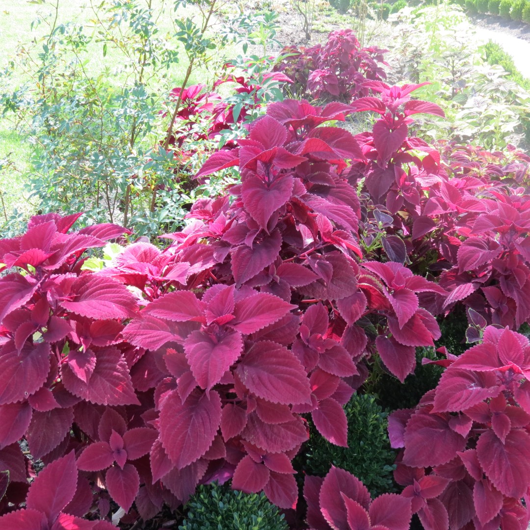 Bartram Garden and House in Philadelphia 11 of 16 (#9906)