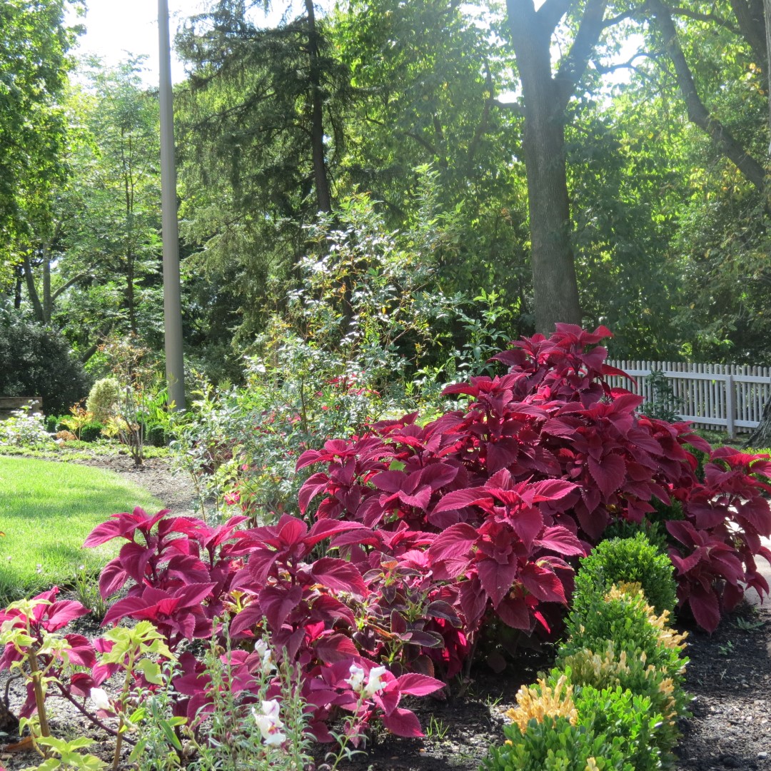 Bartram Garden and House in Philadelphia 12 of 16 (#9907)