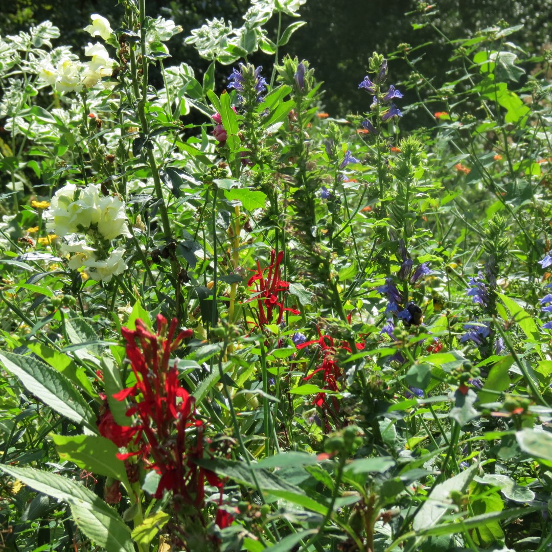 Bartram Garden and House in Philadelphia 13 of 16 (#9909)