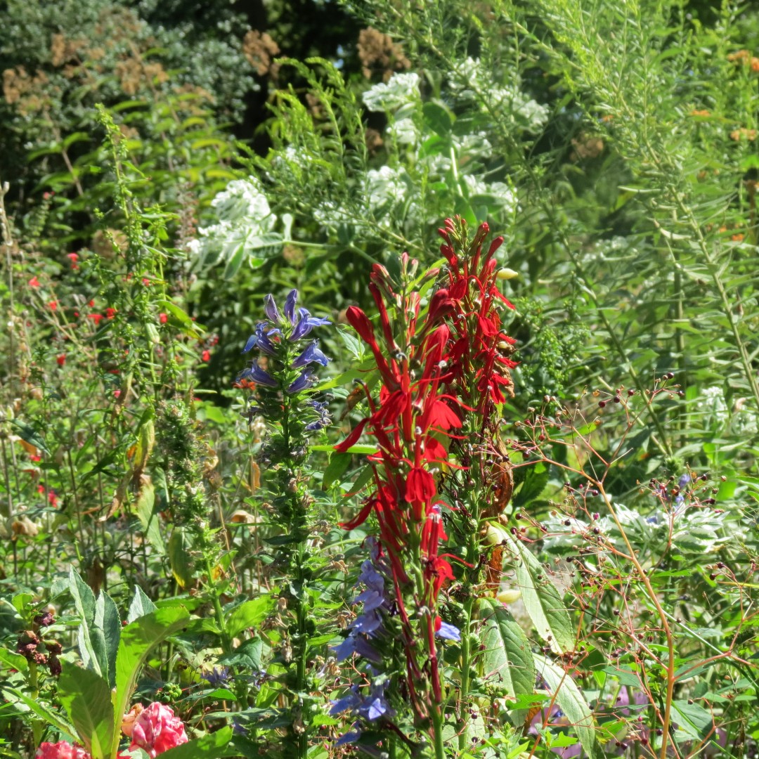 Bartram Garden and House in Philadelphia 15 of 16 (#9911)