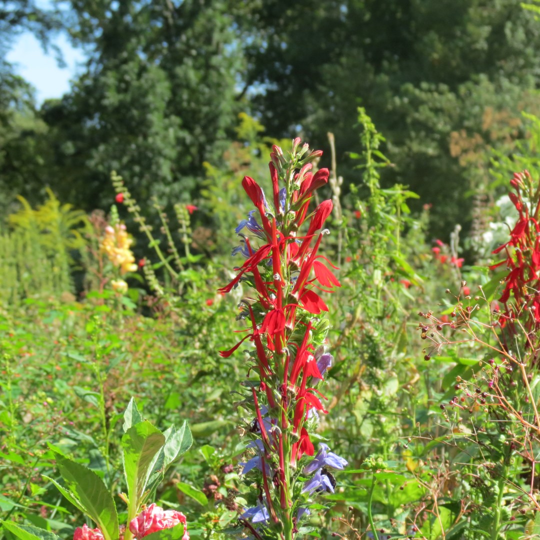 Bartram Garden and House in Philadelphia 16 of 16 (#9912)