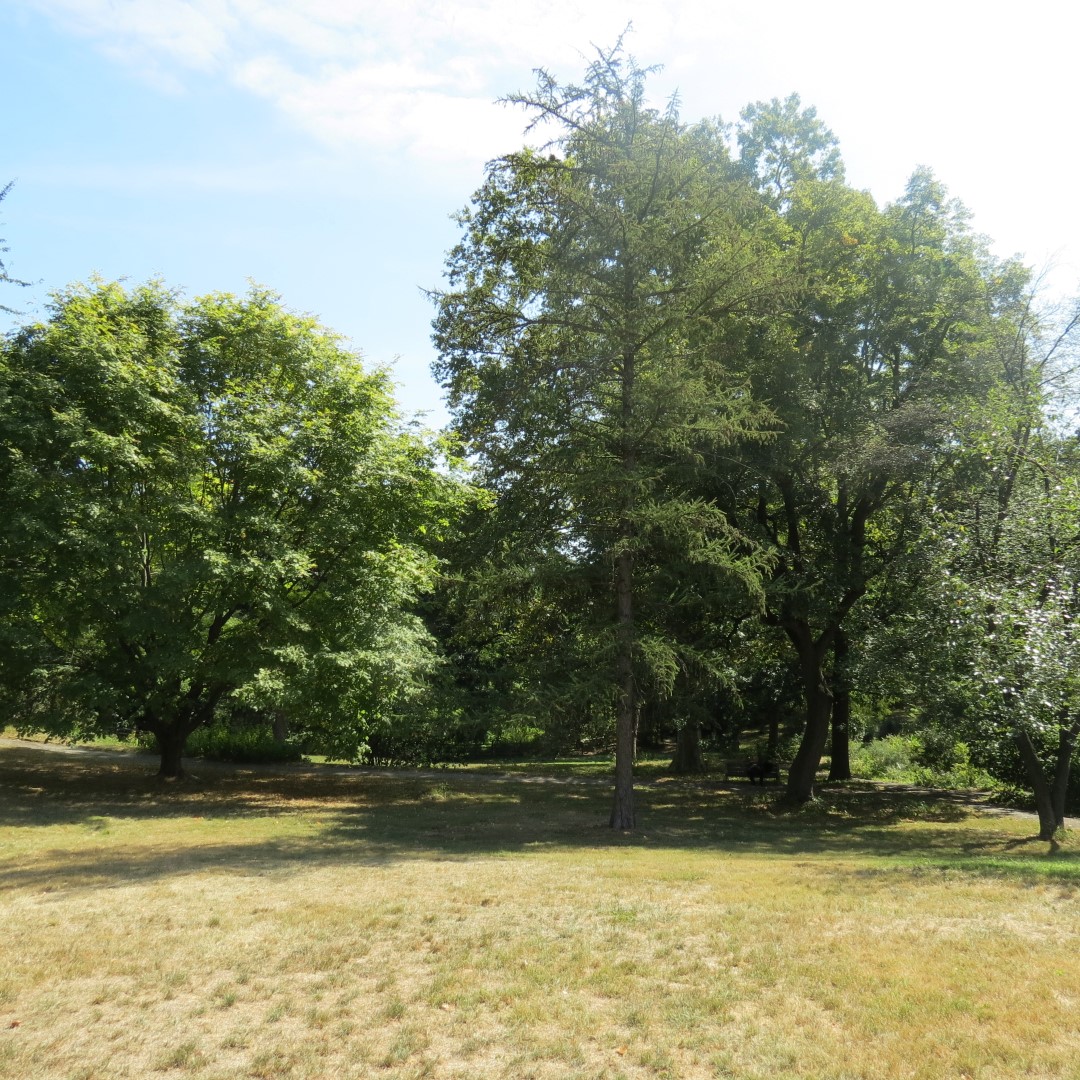 Bartram Garden and House in Philadelphia  8 of 16 (#9914)