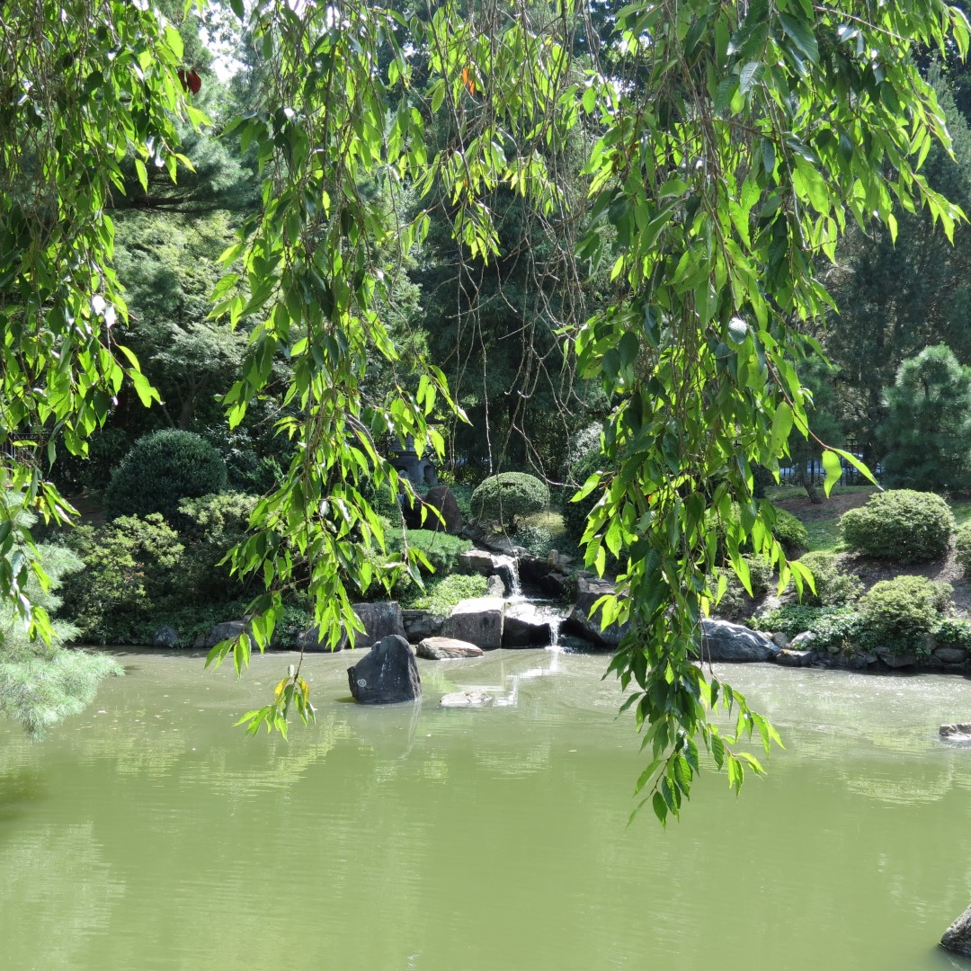 Japanese House and Garden in Philadelphia  3 of 17 (#9941)