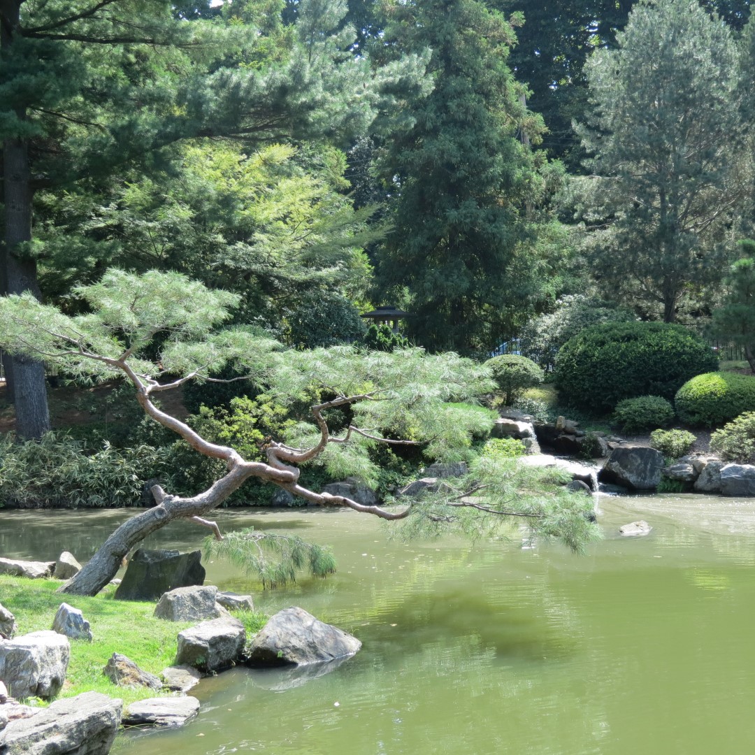 Japanese House and Garden in Philadelphia  5 of 17 (#9943)