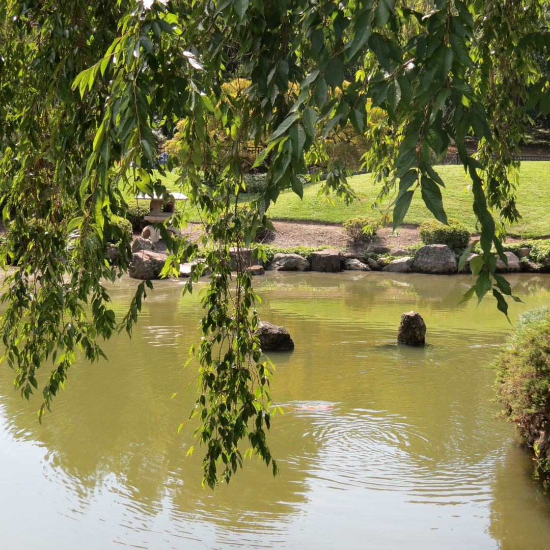 Japanese House and Garden in Philadelphia  6 of 17 (#9944)