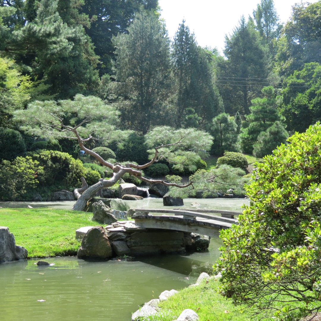 Japanese House and Garden in Philadelphia  7 of 17 (#9951)