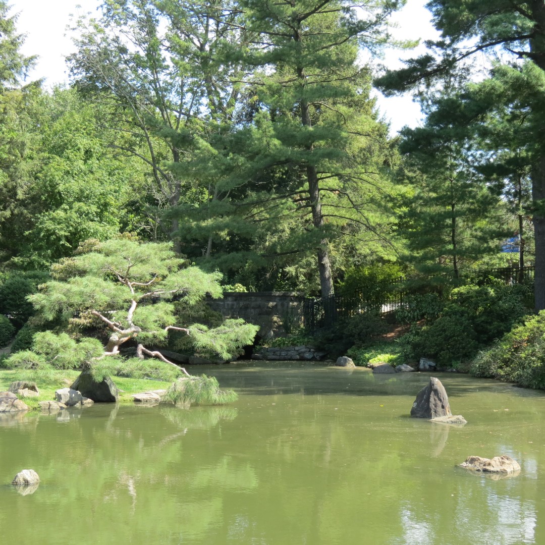 Japanese House and Garden in Philadelphia  8 of 17 (#9952)