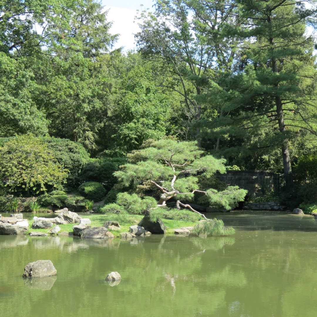 Japanese House and Garden in Philadelphia  9 of 17 (#9953)