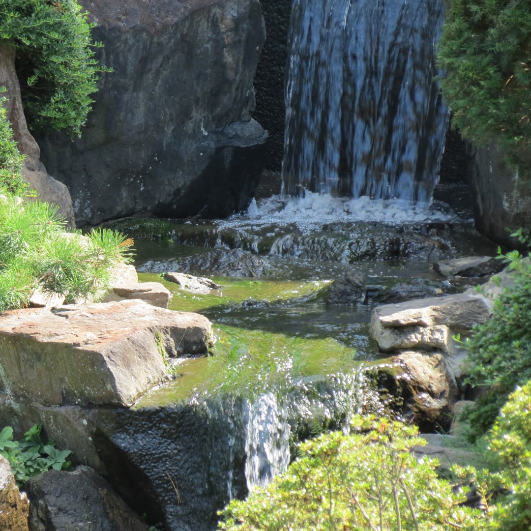 Japanese House and Garden in Philadelphia 12 of 17 (#9956)