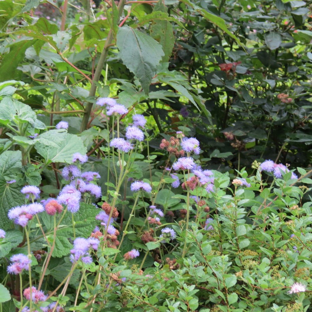 Newark DE  1 of 99 (#9999)