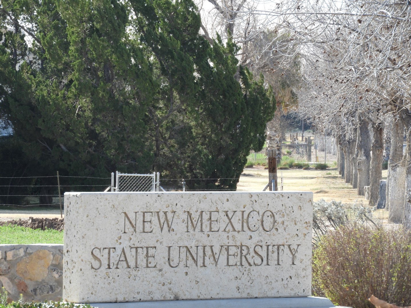 New Mexico State University in Las Cruces NM  2 of  2 (#0366)