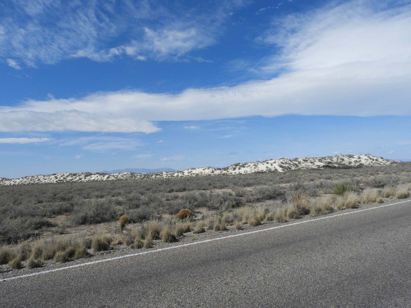 Around the Visitors Center of Outside of the Road to/from the White Sands National Park  3 of  8 (#0377)