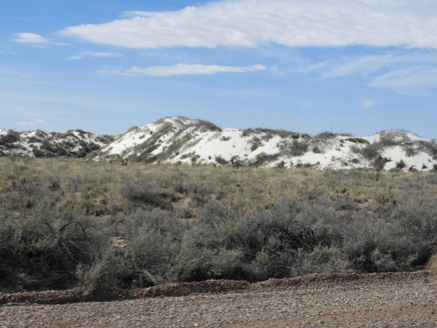 Around the Visitors Center of Outside of the Road to/from the White Sands National Park  5 of  8 (#0379)