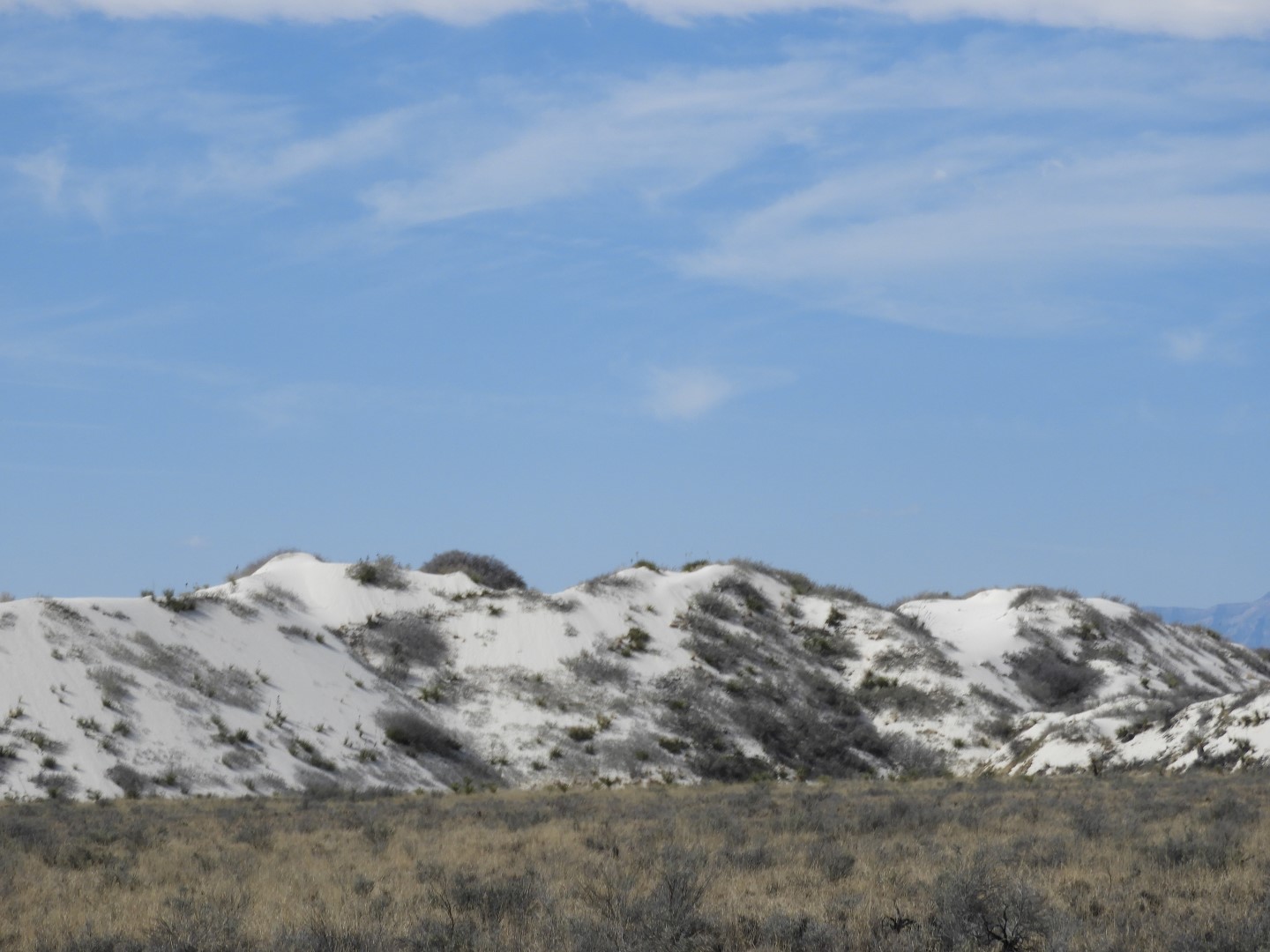Around the Visitors Center of Outside of the Road to/from the White Sands National Park  7 of  8 (#0381)