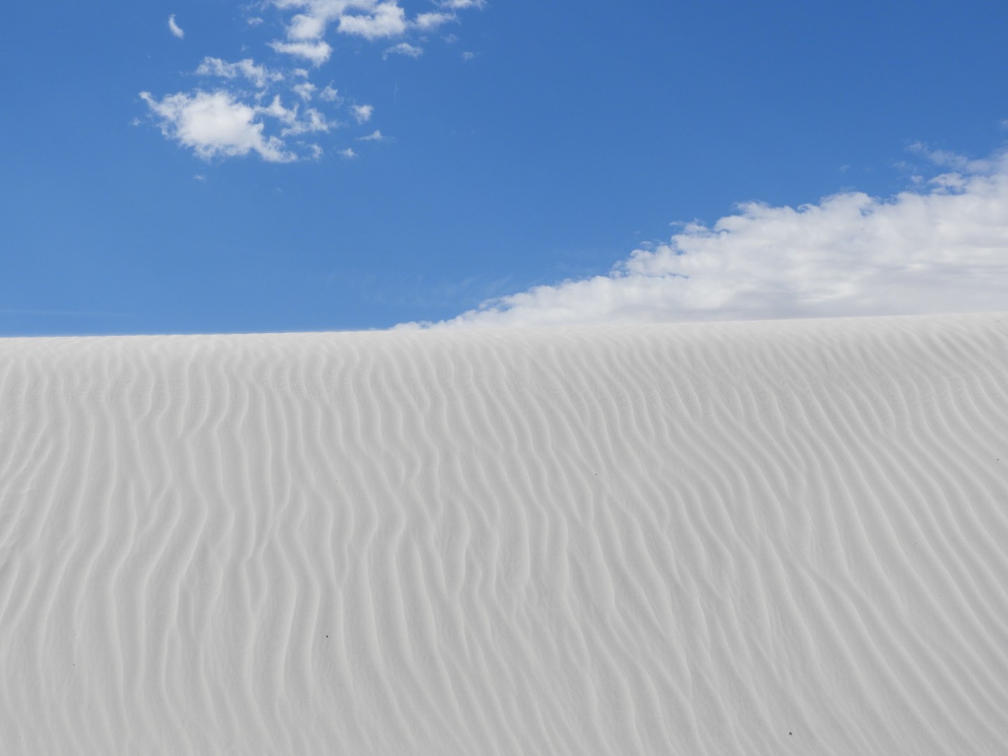 Around the Visitors Center of Outside of the Road to/from the White Sands National Park  8 of  8 (#0382)
