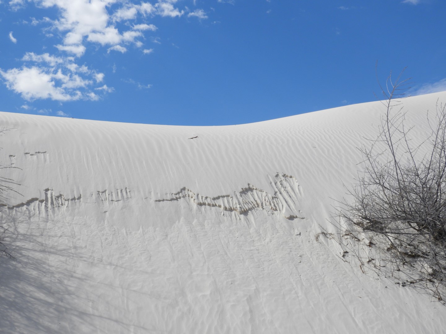 Inside the Around the Visitors Center of Outside of the Road to/from the White Sands National Park  3 of 21 (#0384)