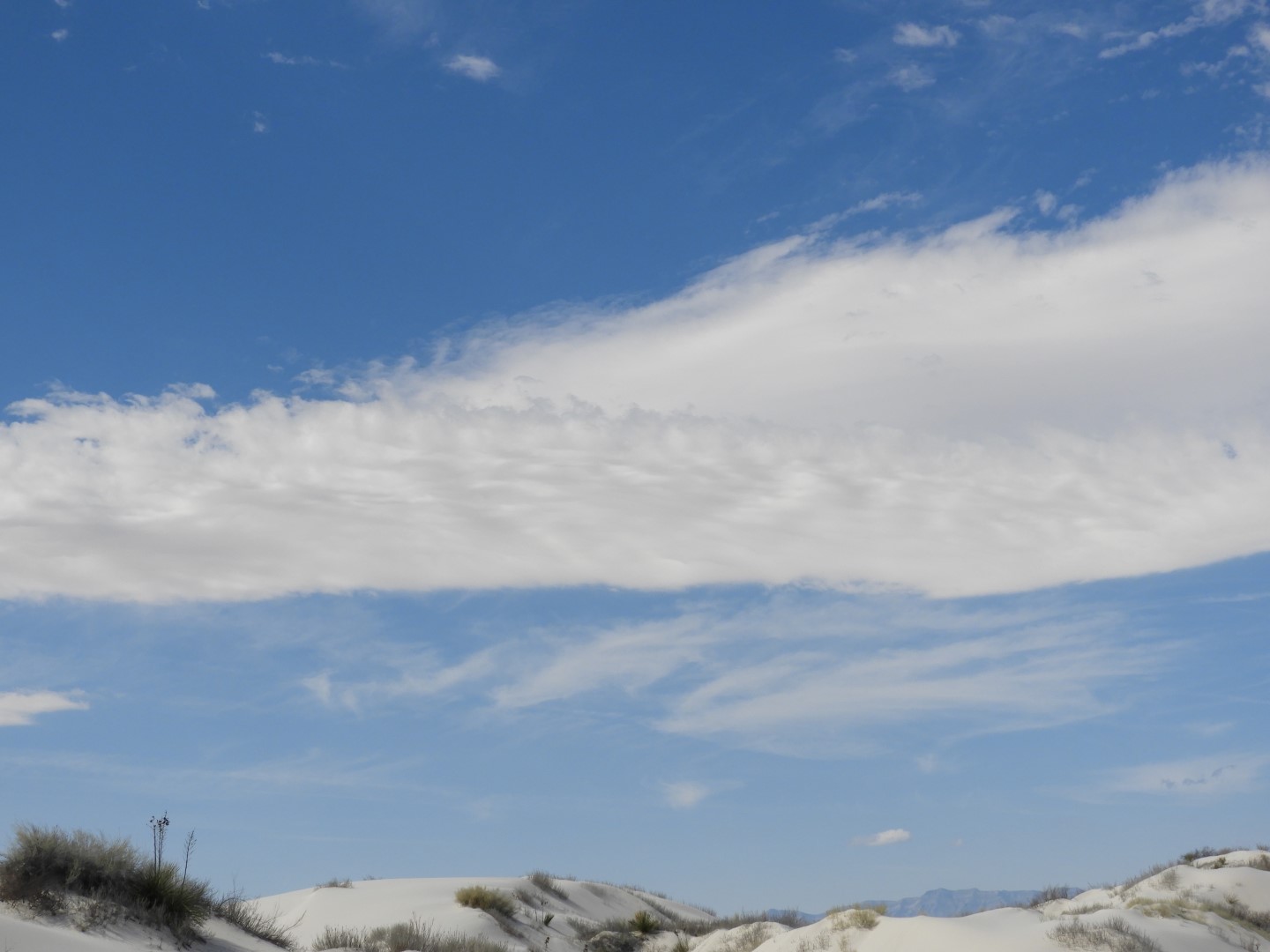 Inside the Around the Visitors Center of Outside of the Road to/from the White Sands National Park  4 of 21 (#0385)