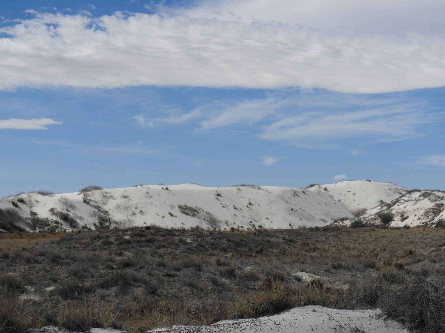 Inside the Around the Visitors Center of Outside of the Road to/from the White Sands National Park  6 of 21 (#0387)