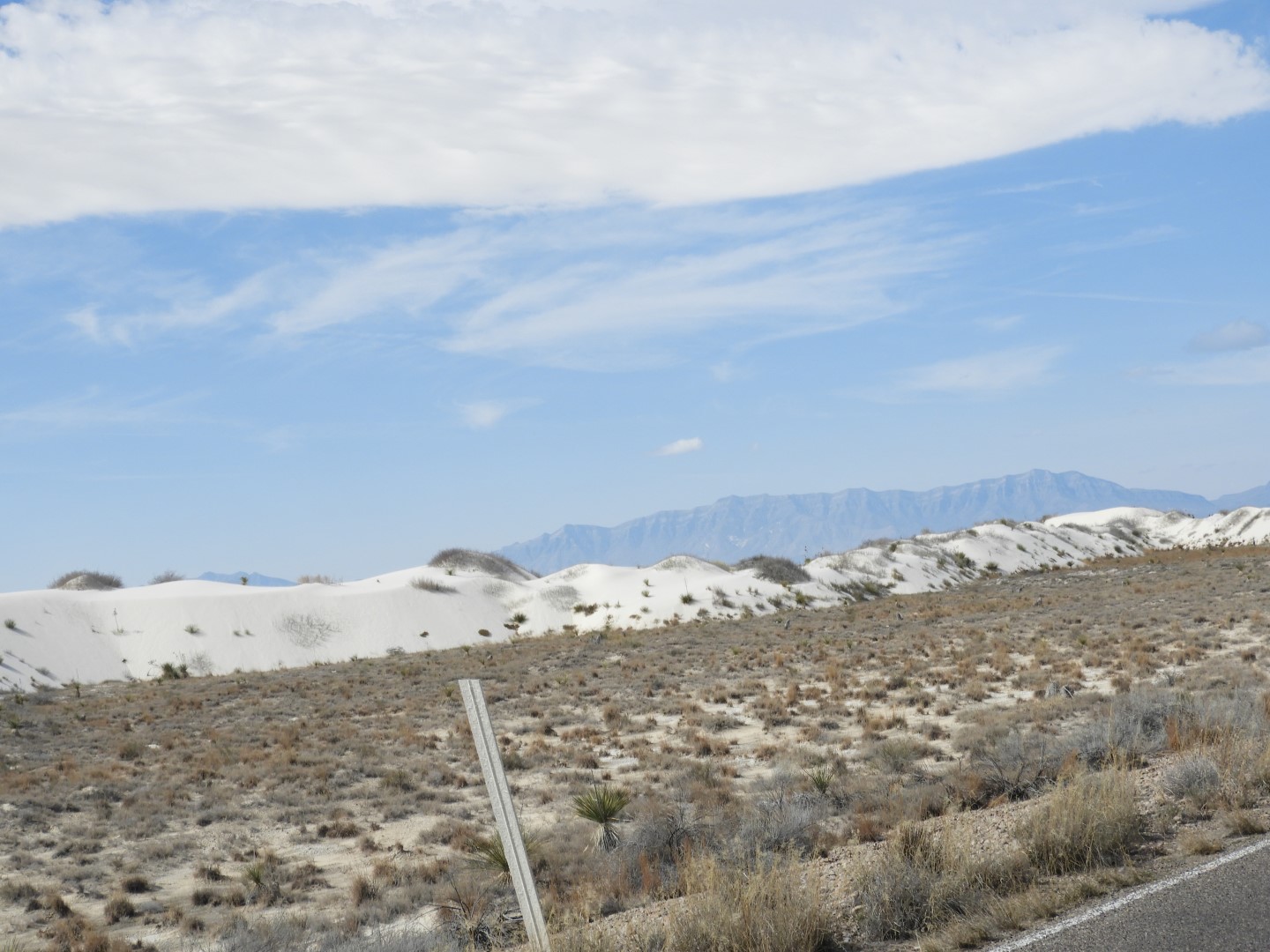 Inside the Around the Visitors Center of Outside of the Road to/from the White Sands National Park  7 of 21 (#0388)